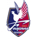 Fagiano Okayama