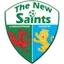 The New Saints